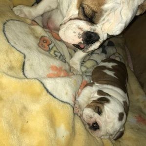 Meet your Posher, Camilo